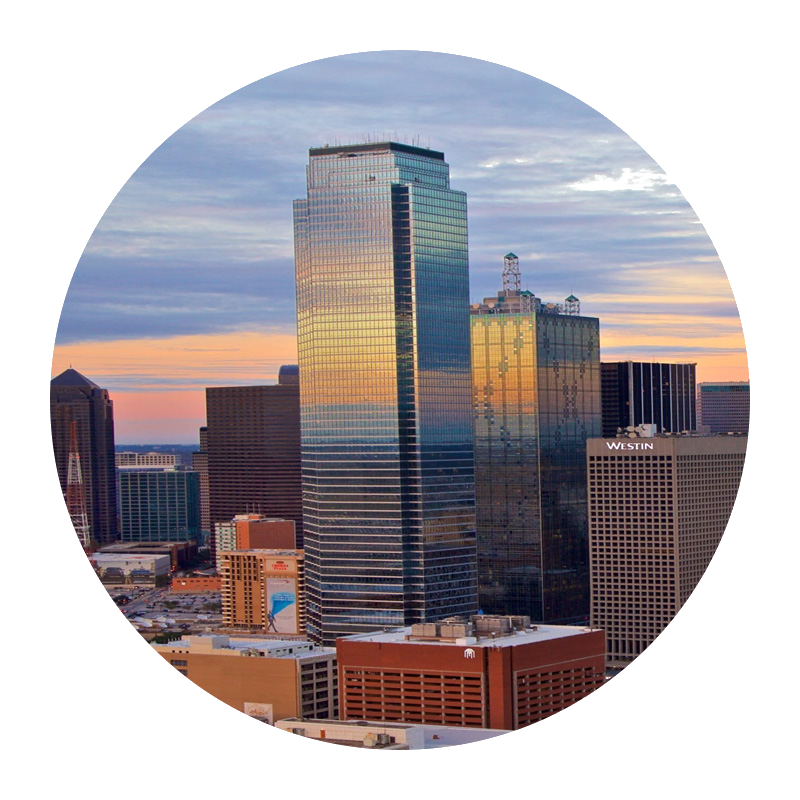 Dallas technology workforce solutions